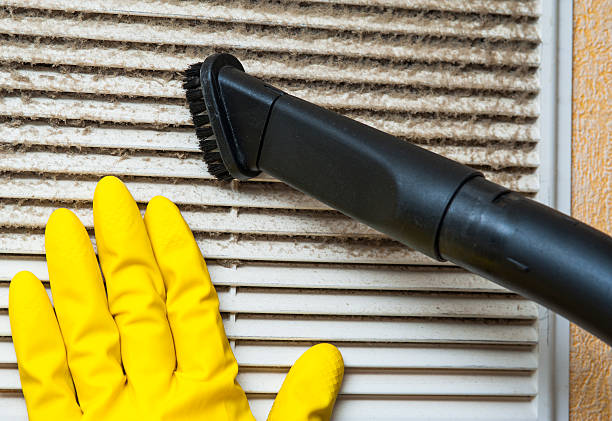 Best Dryer Vent Cleaning Services  in Mount Oliver, PA